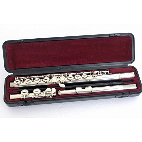 Amazon.co.jp: YAMAHA ヤマハ/フルート YFL-221SII : 楽器・音響機器